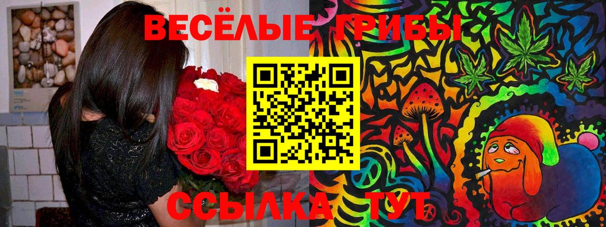 Баксан  Галлюциногенные грибы мухоморы  Вход с VPN  Галлюциногенные грибы Psilocybe 
